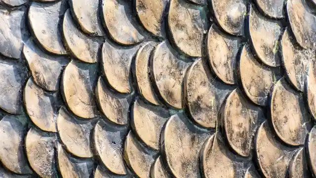 Getting Ready To Pounce