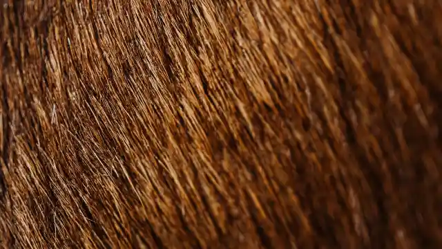 Getting A Better Look