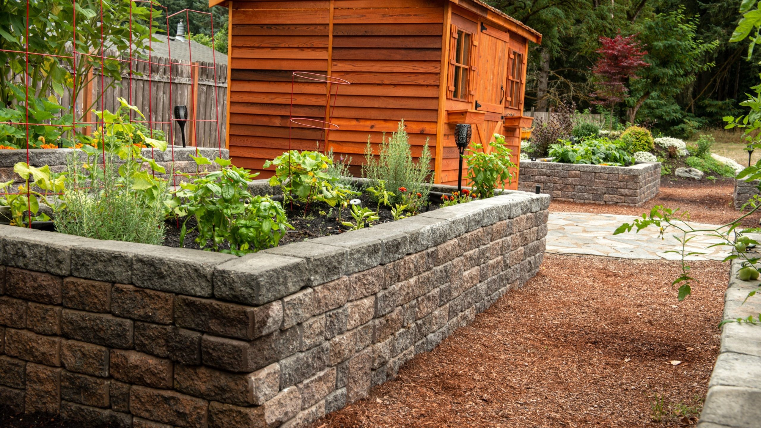 Raised garden beds outside shed