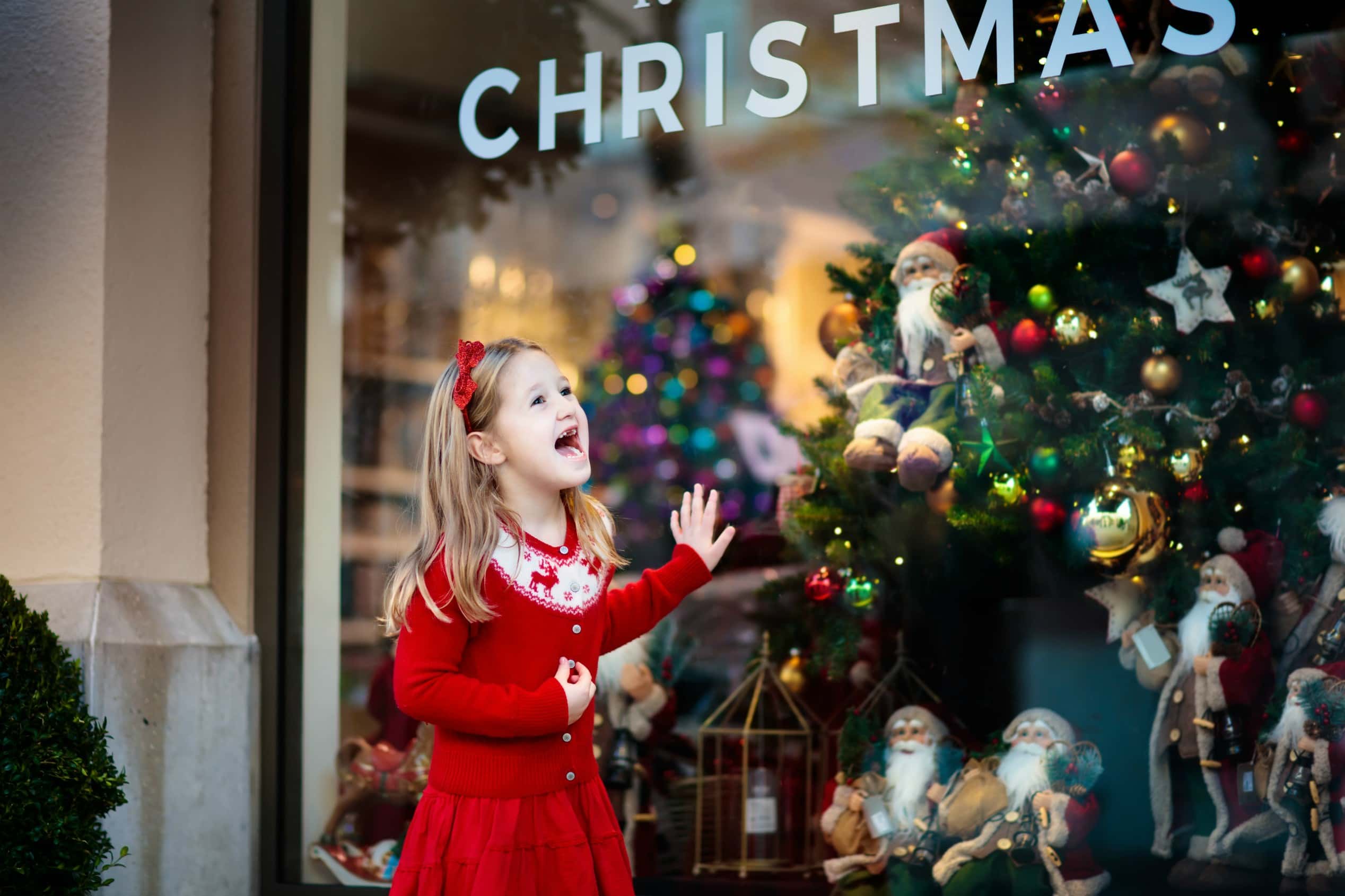 Mall Santa Experiences facts