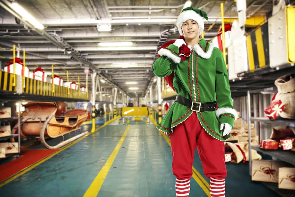 Mall Santa Experiences facts