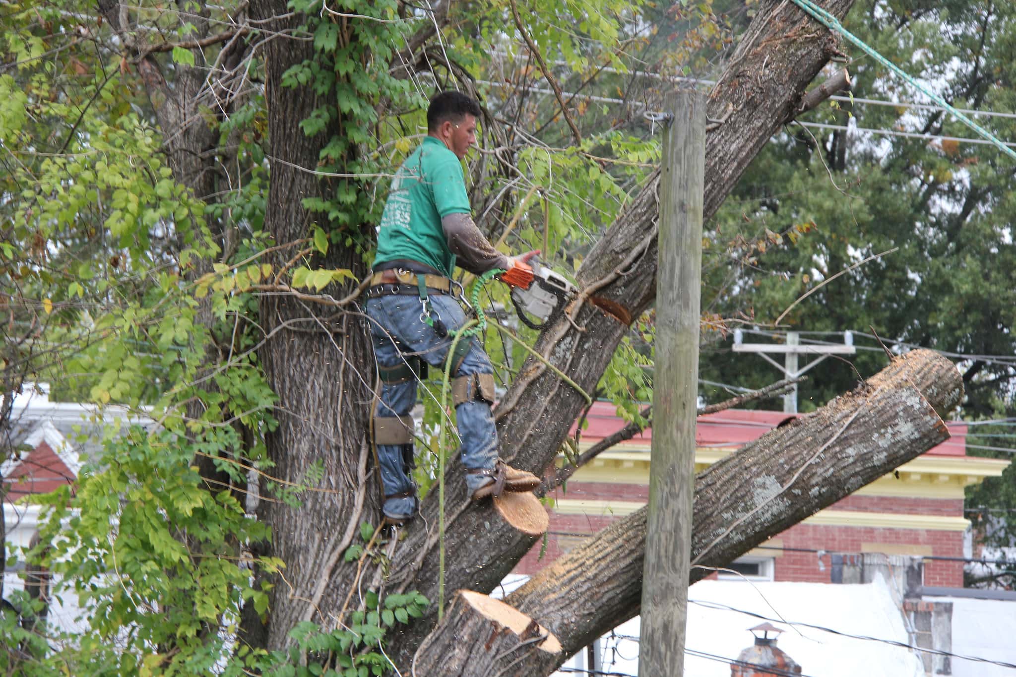 The Most Unprofessional Employees