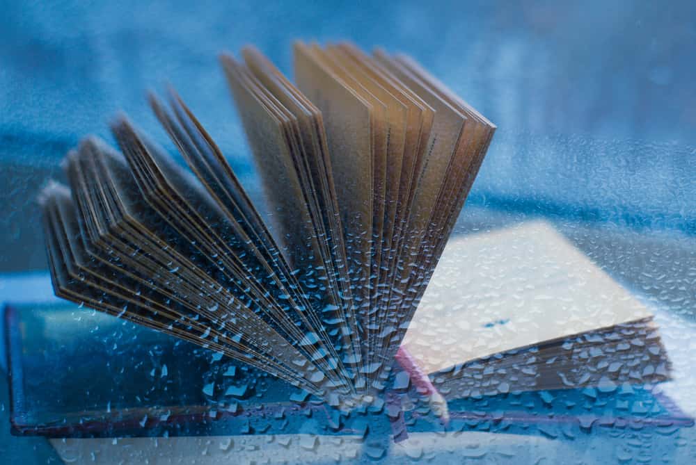 Glitch In The Matrix