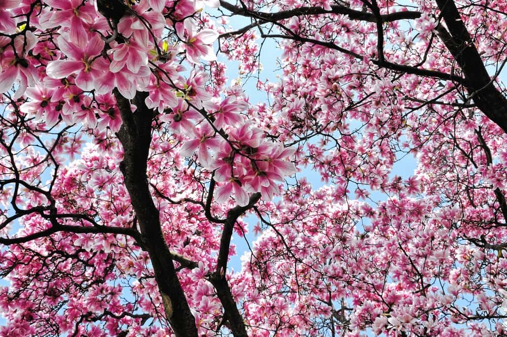 Glitch In The Matrix