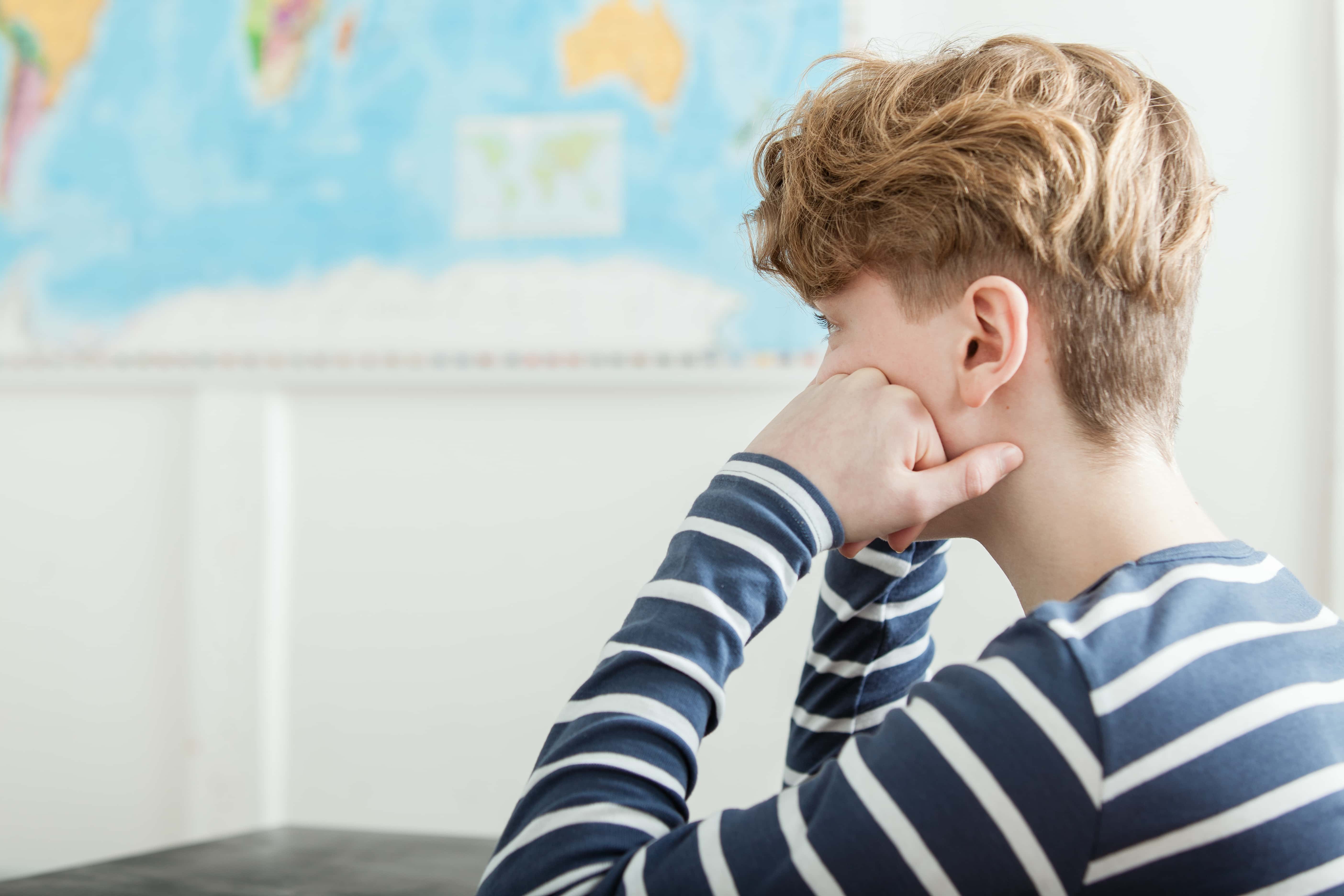 Worst Teachers facts