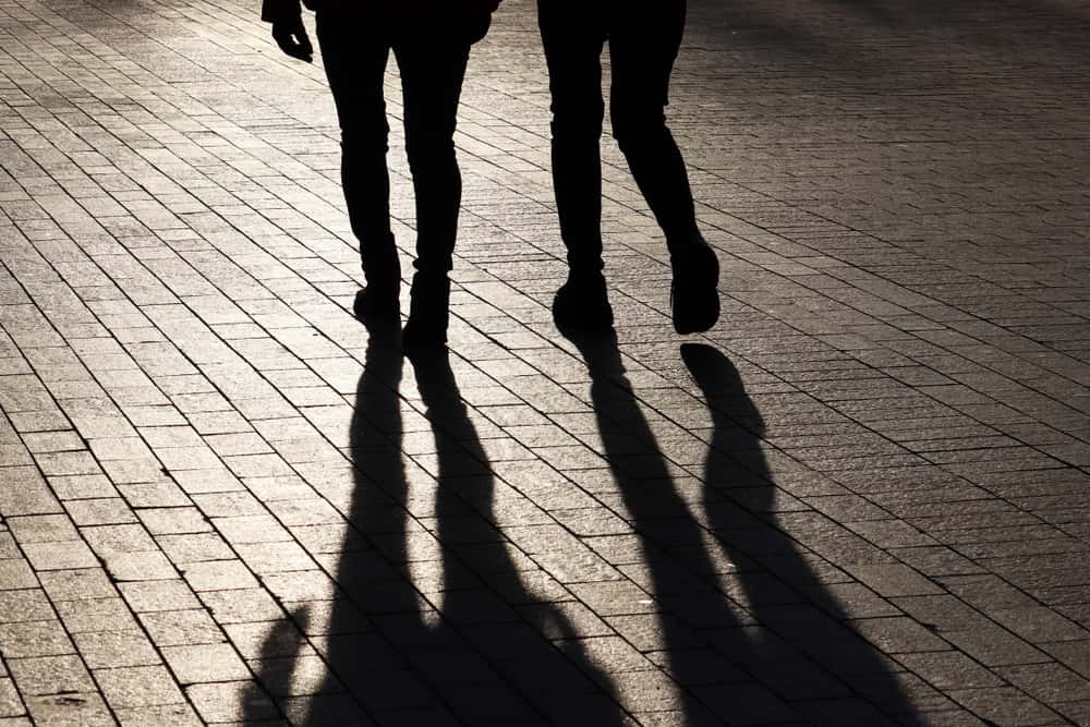 Glitch In The Matrix Facts