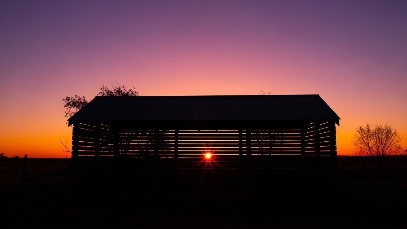 Sunset over shed